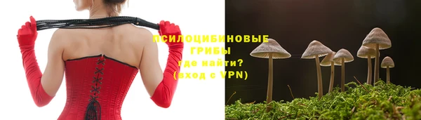 mdpv Надым