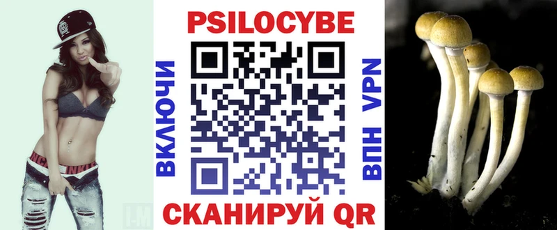 Купить Сураж Галлюциногенные грибы Cubensis